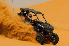 1-SEATER-BUGGY-TOURS-3