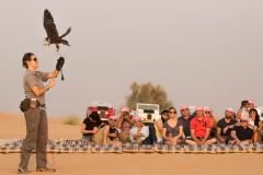 Desert-Safari-Deluxe-3