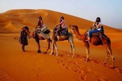 Desert-Safari-with-VIP-Service-1