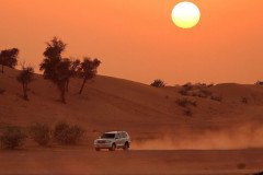 EVENING-DESERT-SAFARI-2